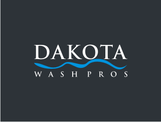 Dakota Wash Pros logo design by bricton