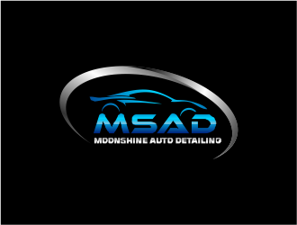MoonShine Auto Detailing logo design concepts #4