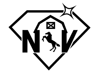 NV  logo design by PMG