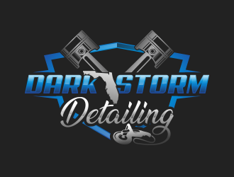 Dark Storm Detailing  logo design by Realistis