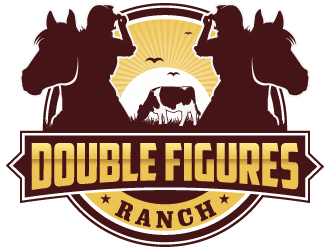 Double Figures Ranch logo design by LucidSketch