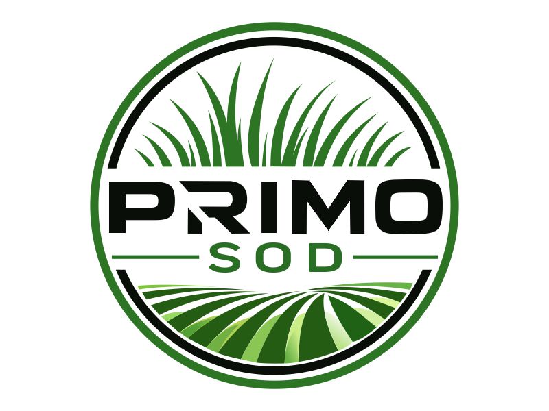 Primo Sod
