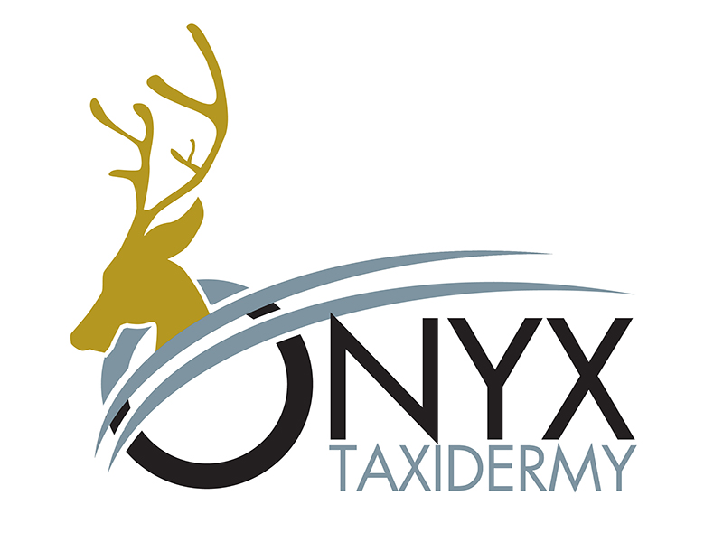  logo design by Godvibes