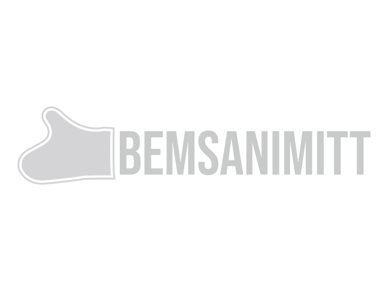 BEMSANIMITT logo design by Greenlight