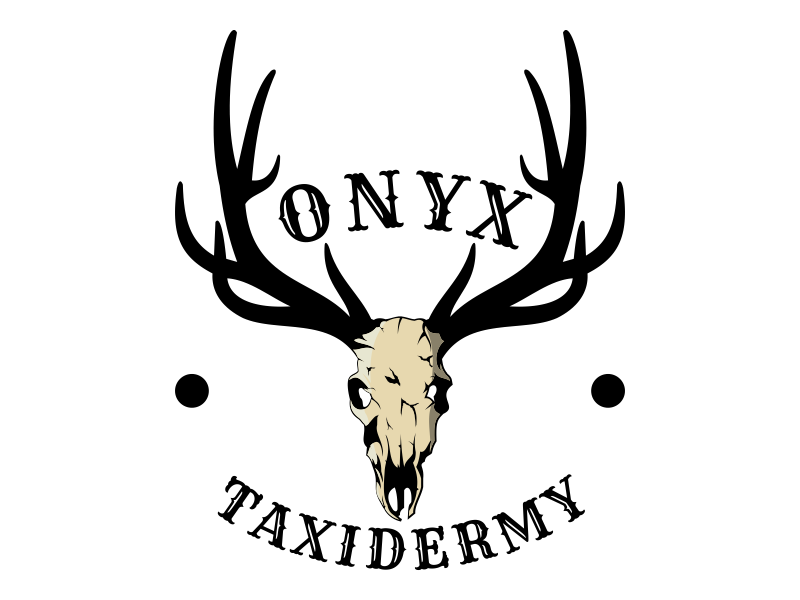  logo design by Kruger