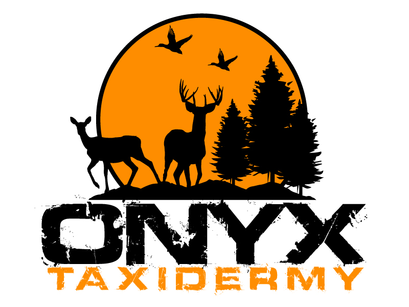 ONYX TAXIDERMY logo design by ElonStark
