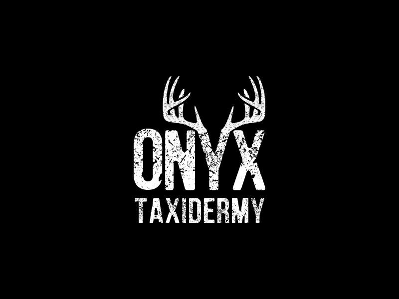  logo design by KaySa