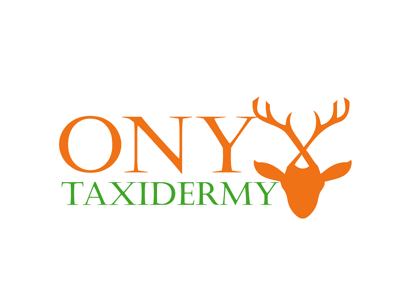 ONYX TAXIDERMY logo design by sumya