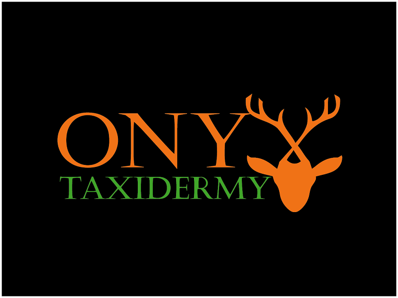  logo design by sumya