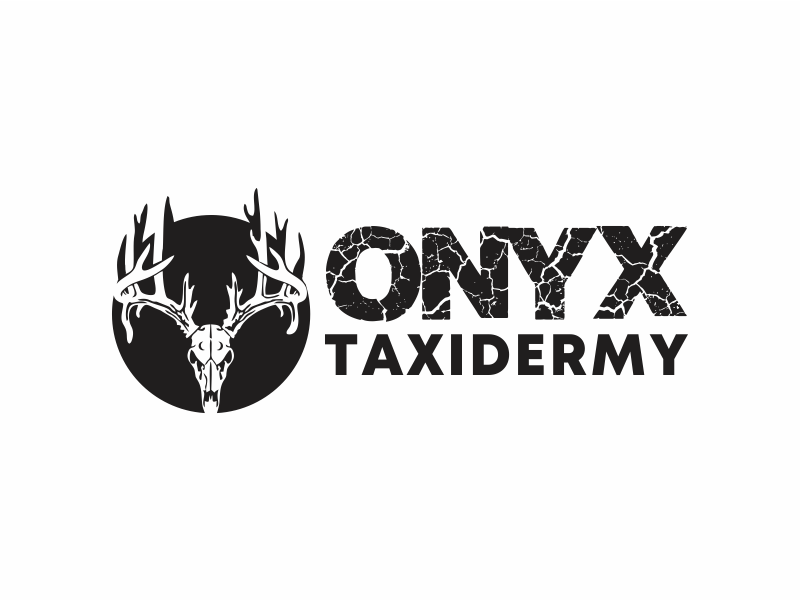 ONYX TAXIDERMY logo design by up2date