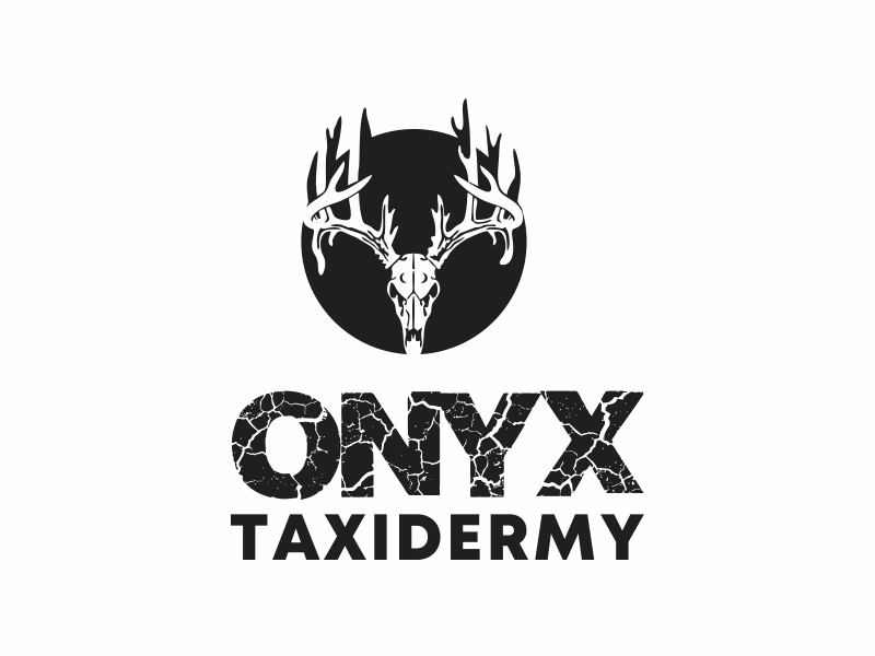 ONYX TAXIDERMY logo design by up2date