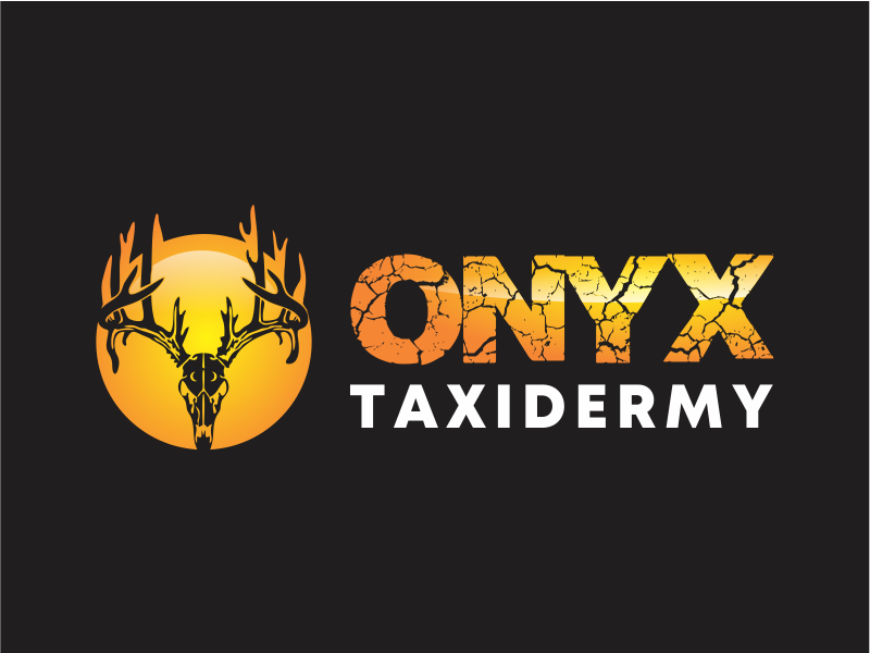 ONYX TAXIDERMY logo design by up2date