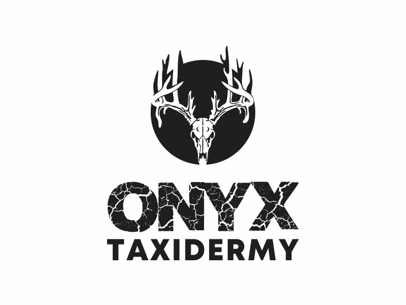 ONYX TAXIDERMY logo design by up2date