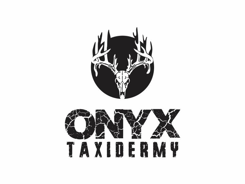ONYX TAXIDERMY logo design by up2date
