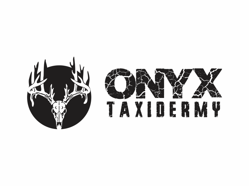 ONYX TAXIDERMY logo design by up2date