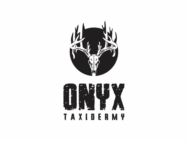 ONYX TAXIDERMY logo design by up2date