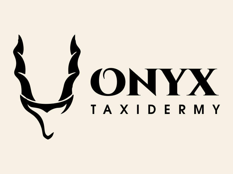  logo design by JessicaLopes