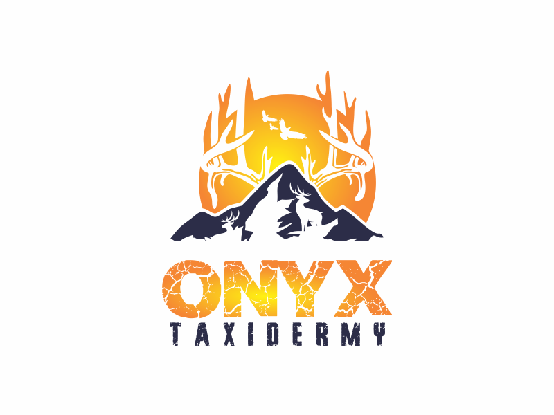 ONYX TAXIDERMY logo design by up2date