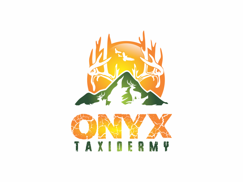 ONYX TAXIDERMY logo design by up2date