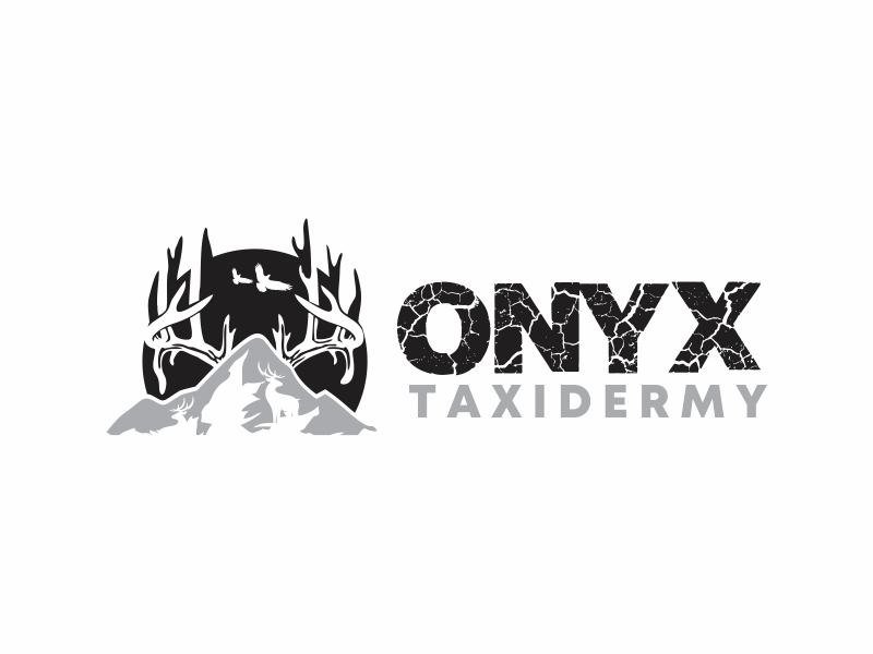 ONYX TAXIDERMY logo design by up2date