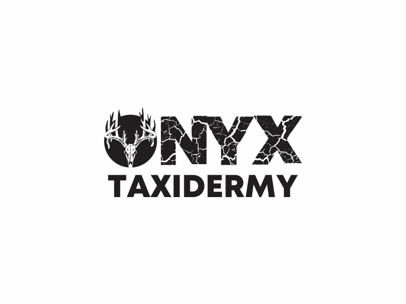 ONYX TAXIDERMY logo design by up2date