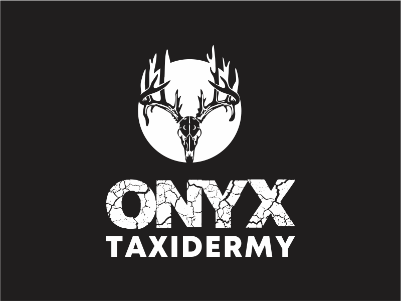 ONYX TAXIDERMY logo design by up2date