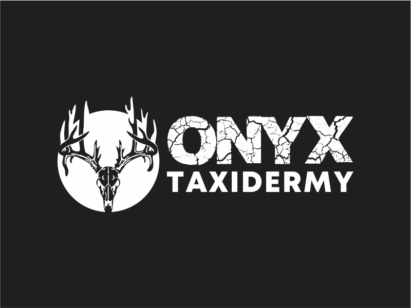 ONYX TAXIDERMY logo design by up2date