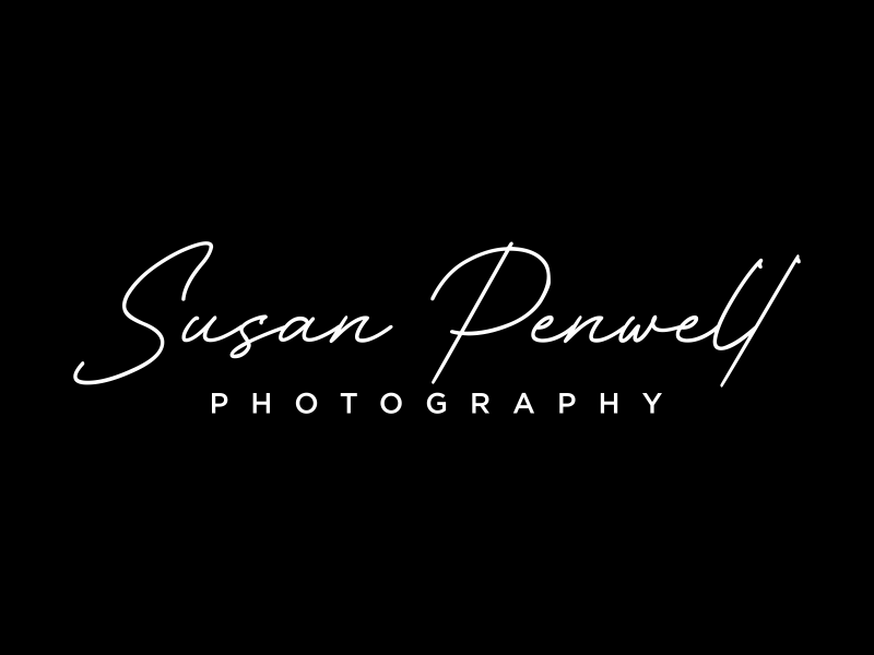 Susan Penwell Photography logo design by ozenkgraphic