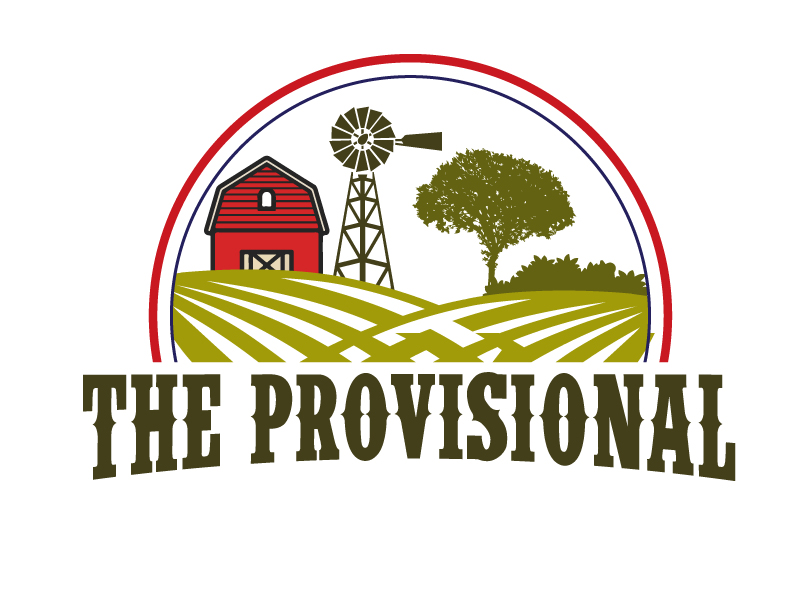 The Provisional logo design by ElonStark