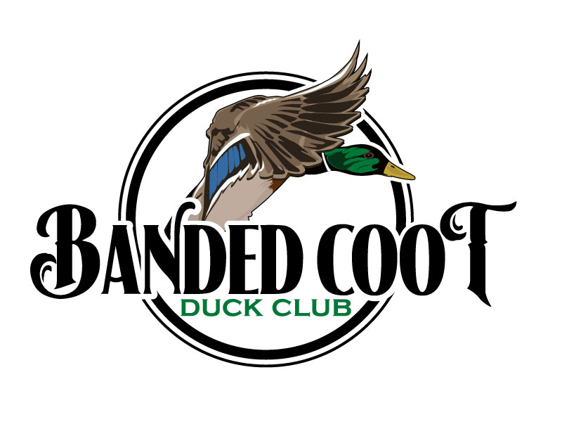 Banded Coot Duck Club logo design by ElonStark