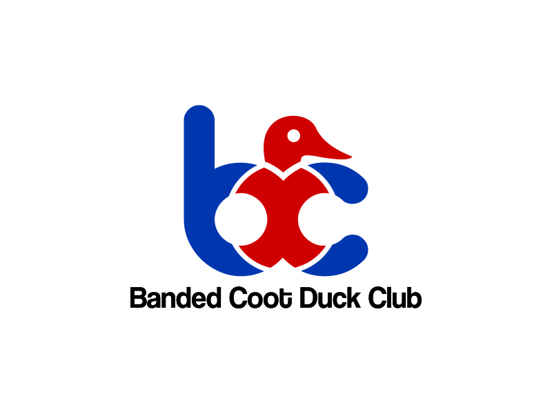 Banded Coot Duck Club logo design by up2date