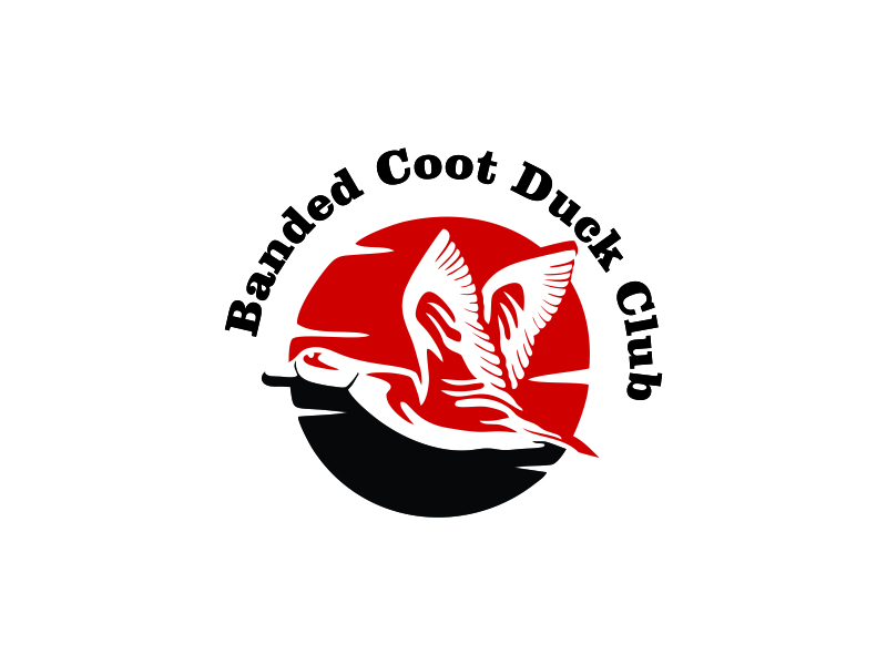 Banded Coot Duck Club logo design by up2date