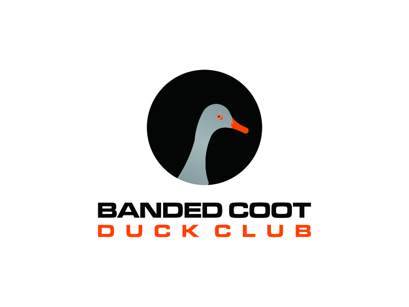 Banded Coot Duck Club logo design by bomie