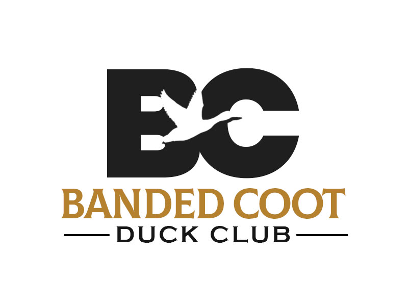 Banded Coot Duck Club logo design by kunejo