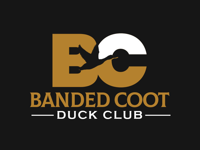 Banded Coot Duck Club logo design by kunejo