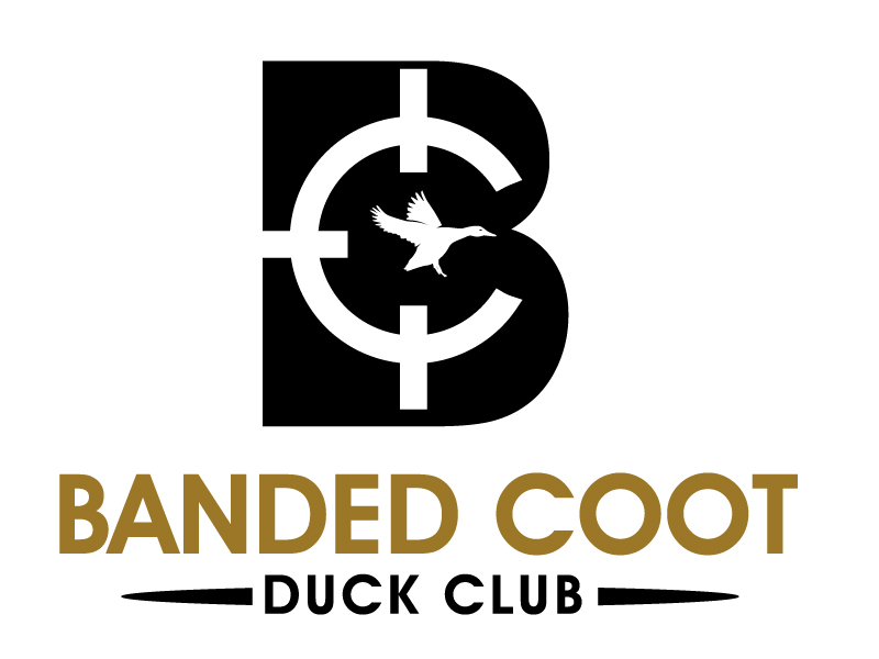 Banded Coot Duck Club logo design by PMG
