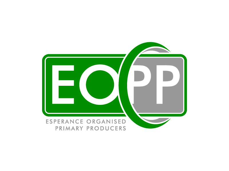  logo design by akilis13
