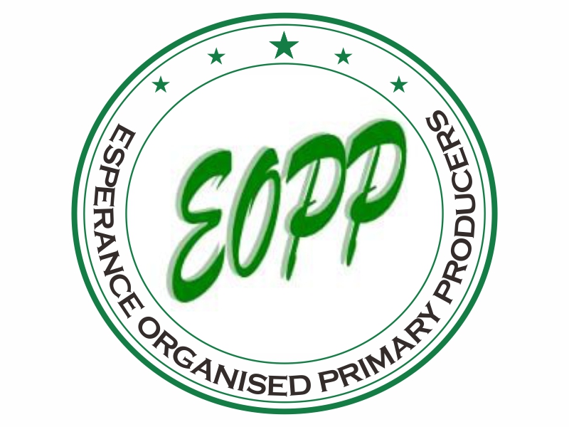  logo design by Greenlight