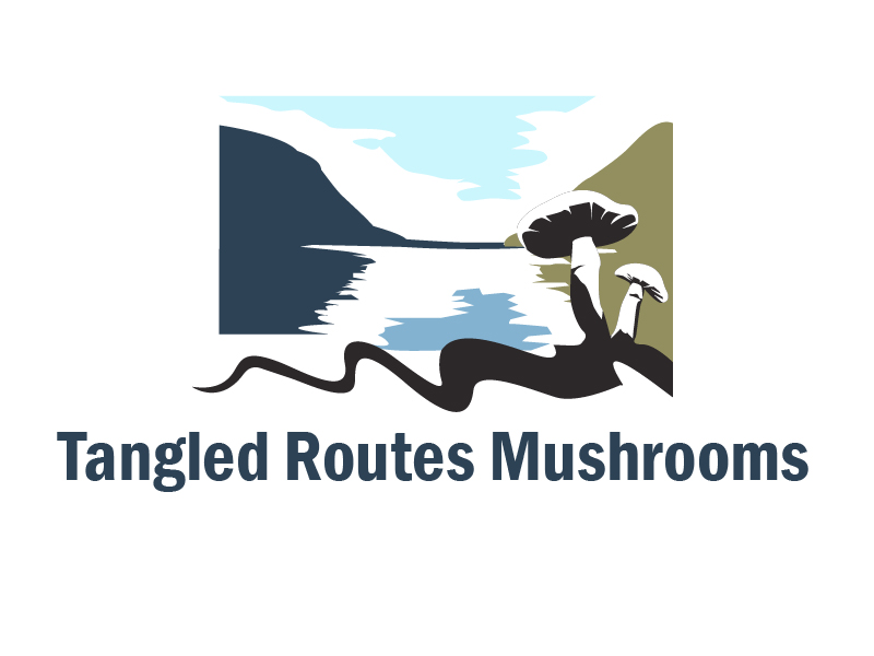 Tangled Routes Mushrooms logo design by chumberarto