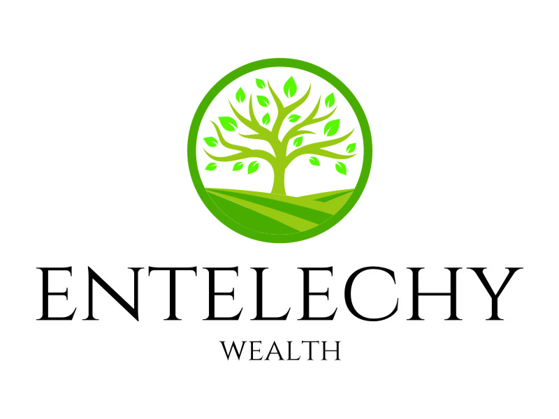 Entelechy Wealth logo design by jetzu