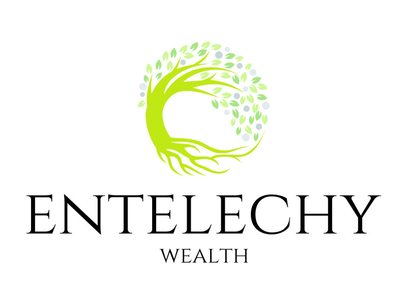 Entelechy Wealth logo design by jetzu