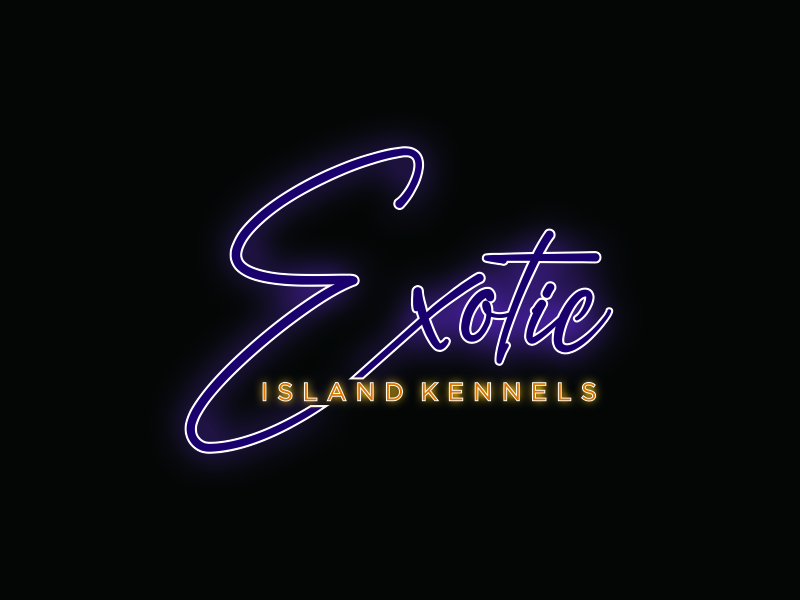 Exotic island kennels logo design by Msinur