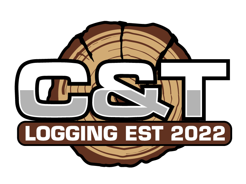  logo design by ElonStark