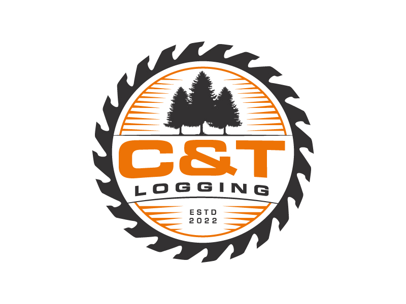  logo design by akilis13