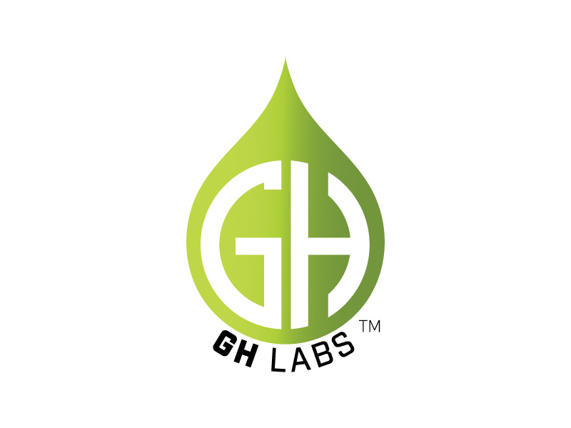 GH logo design by jhunior