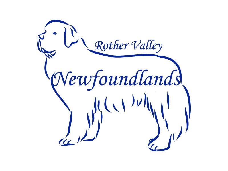 Rother Valley Newfoundlands logo design by bulatITA