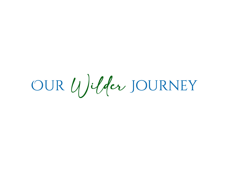 Our Wilder Journey logo design by sakarep