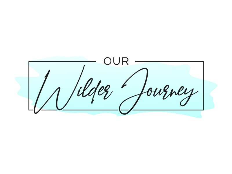 Our Wilder Journey logo design by coco