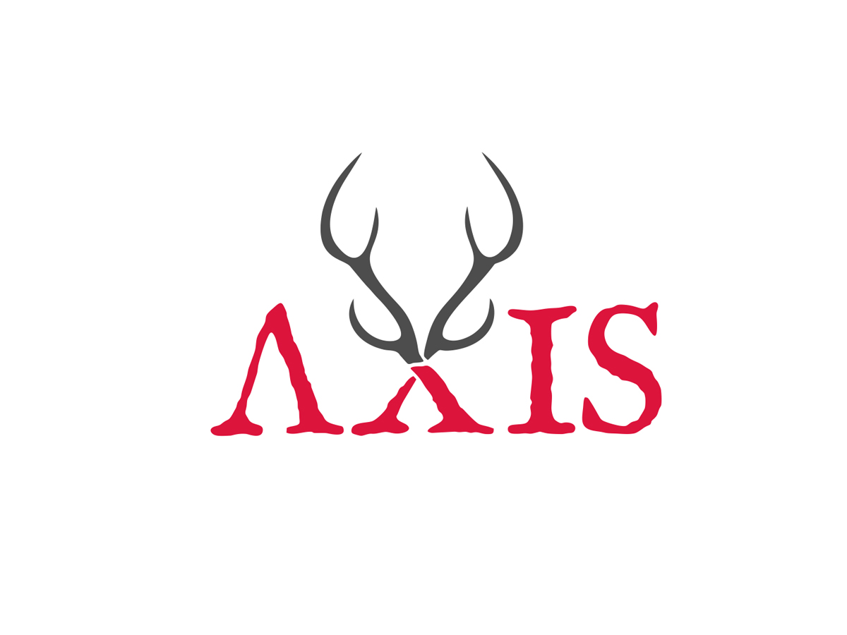 Axis logo design by Realistis