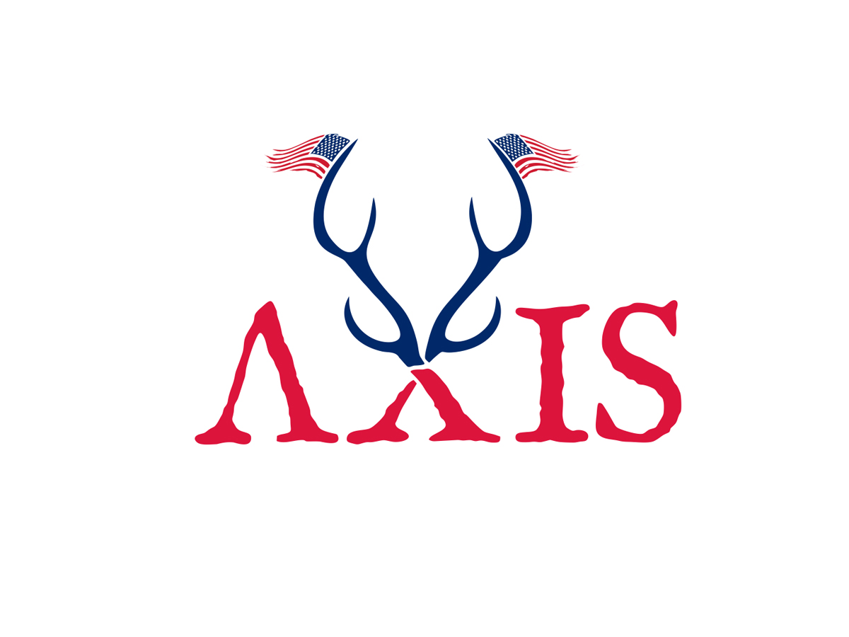 Axis logo design by Realistis